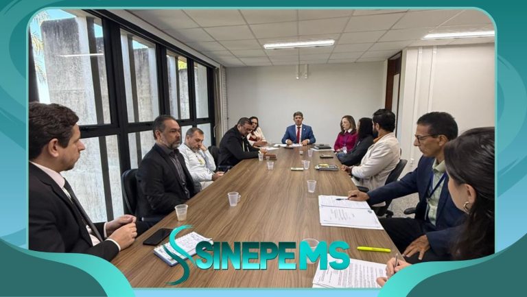 SINEPE MS
